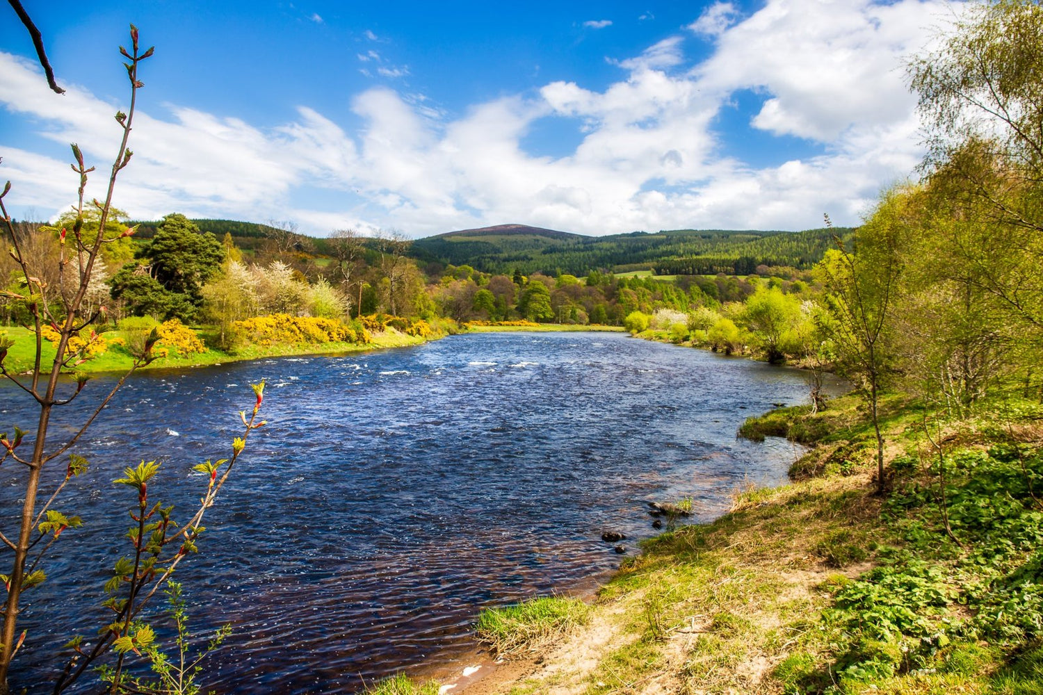 A picture of the River Spey meandering through the Scottish region of Speyside.